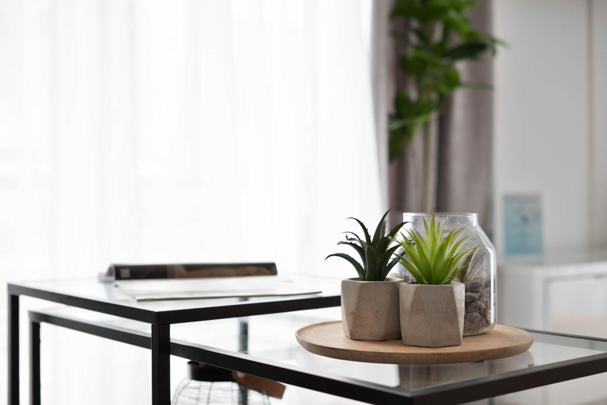 Moderne Apartments Im Herzen Von Osnabrueck I Private Tiefgarage I Home2Share Екстер'єр фото